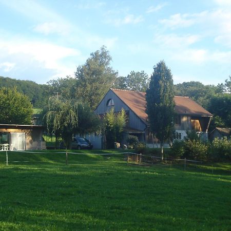Bnb Pavillon Paisible Orsonnens Bagian luar foto